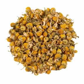 Camomilla in fiore